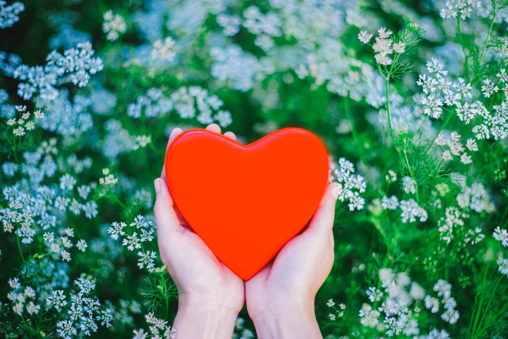 Woman Hand Holding Red Wood Heart .