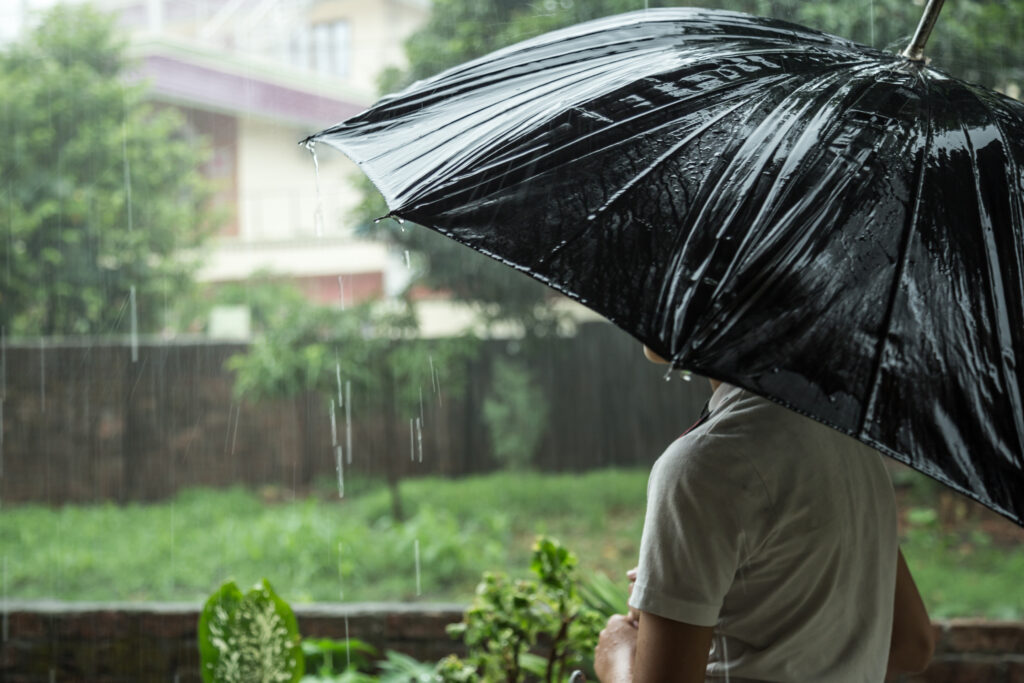 Umbrella Outdoors
