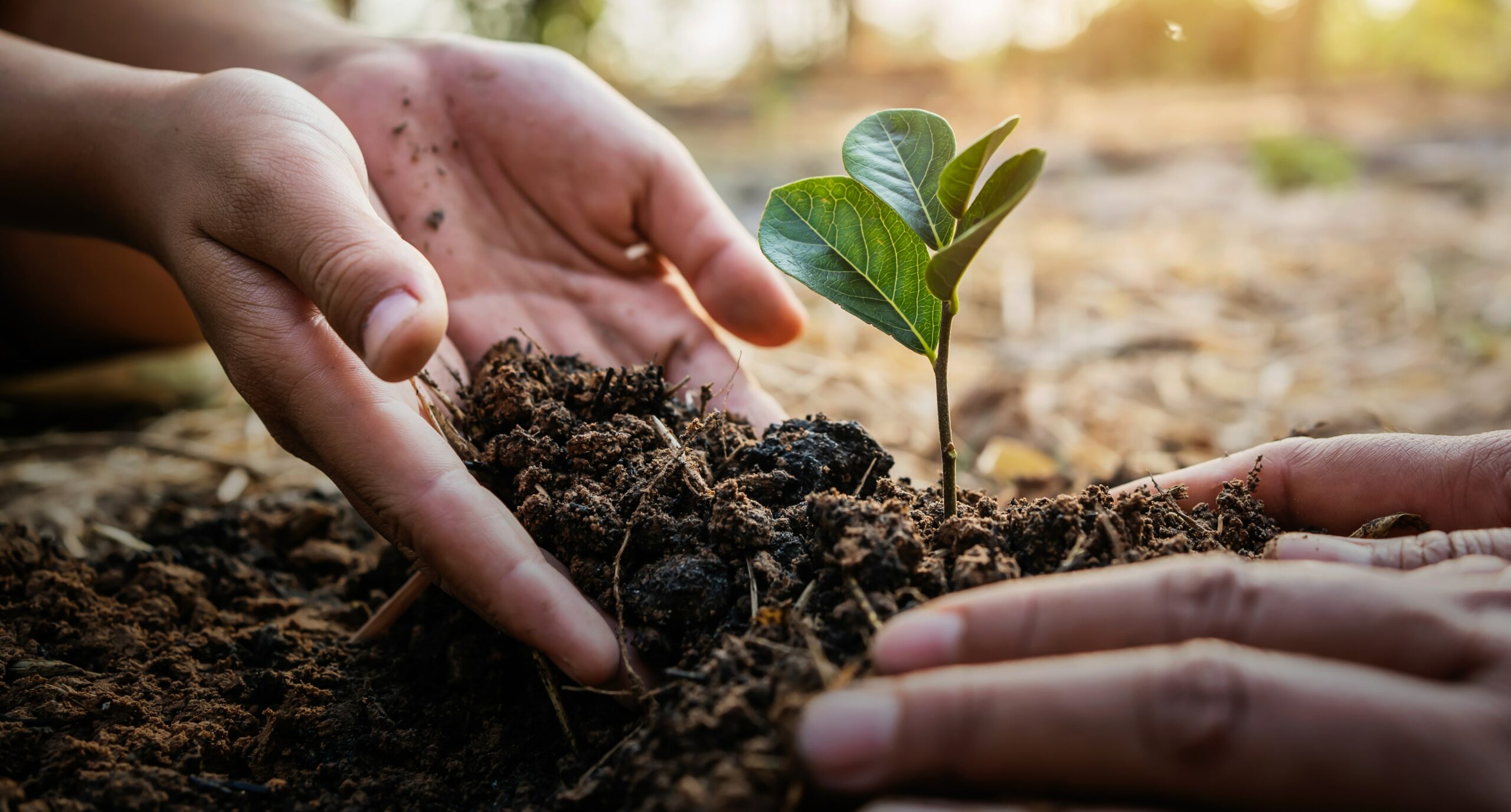 Missionary Works Saint John Vianney Center