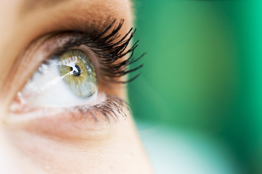 Eye Xxl