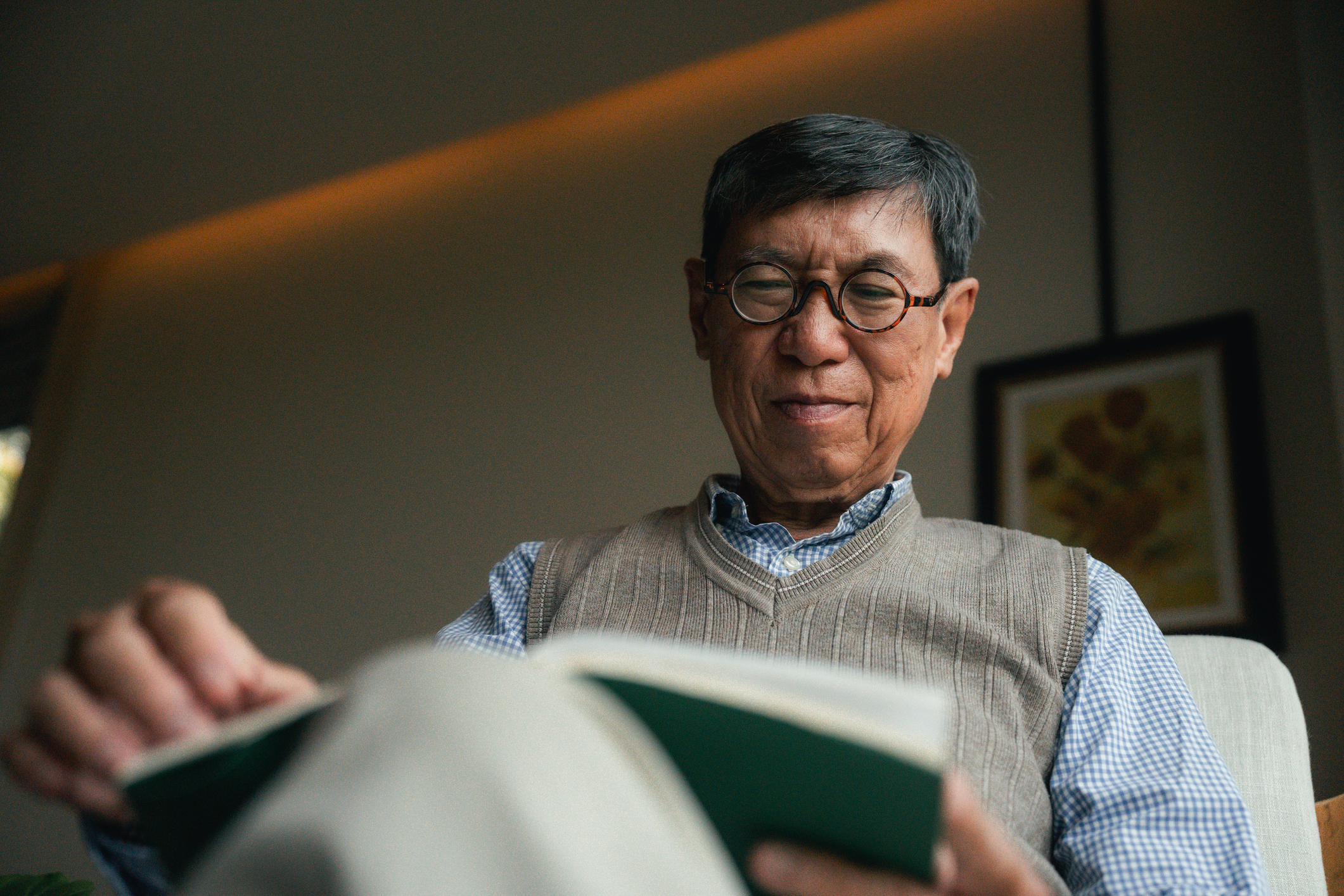 Serene Senior Man Enjoying A Quiet Moment Of Mindfulness While Reading A Book In A Sunlit Living Room